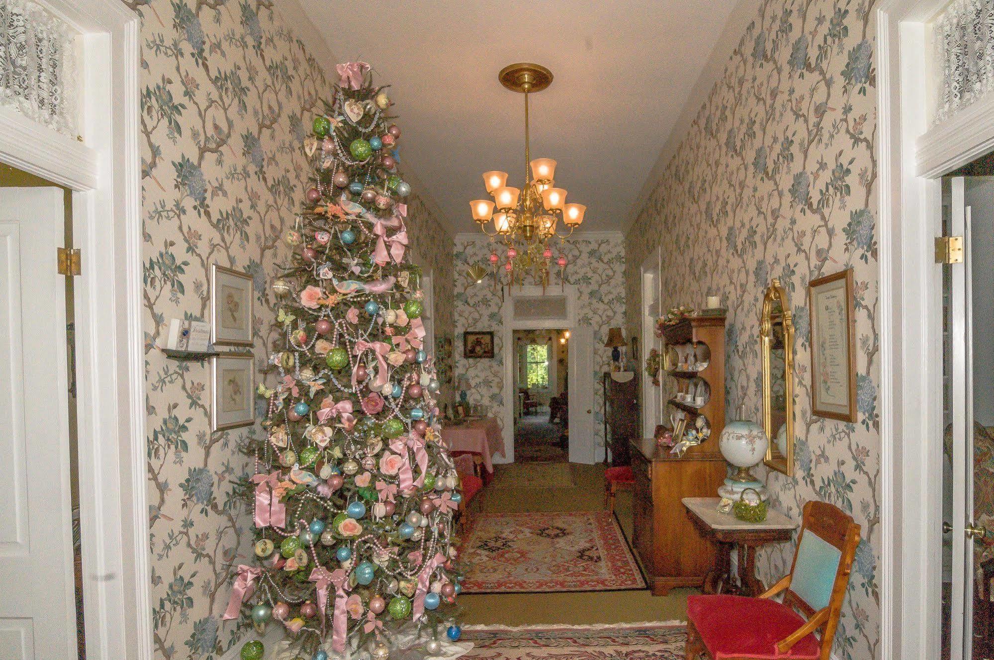 Bed and Breakfast Holly House Of Hamilton Zewnętrze zdjęcie